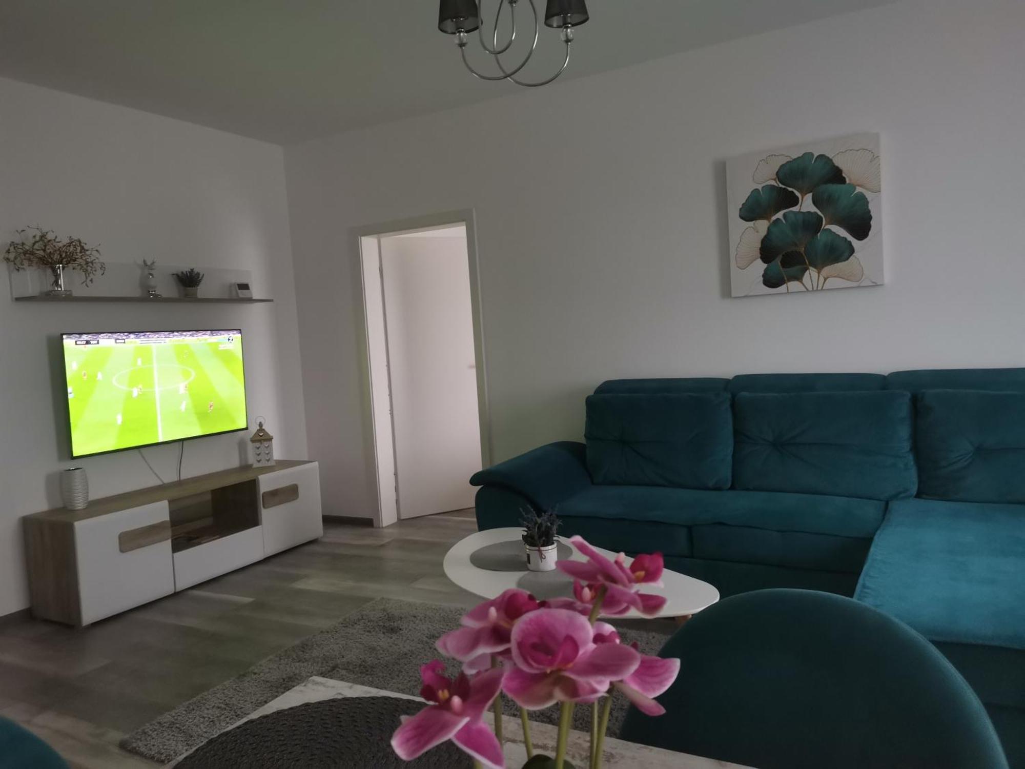 Apartmant Melinda M26 ブラショフ エクステリア 写真